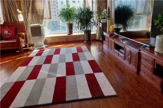 紅色系拼塊毯客廳鋪裝